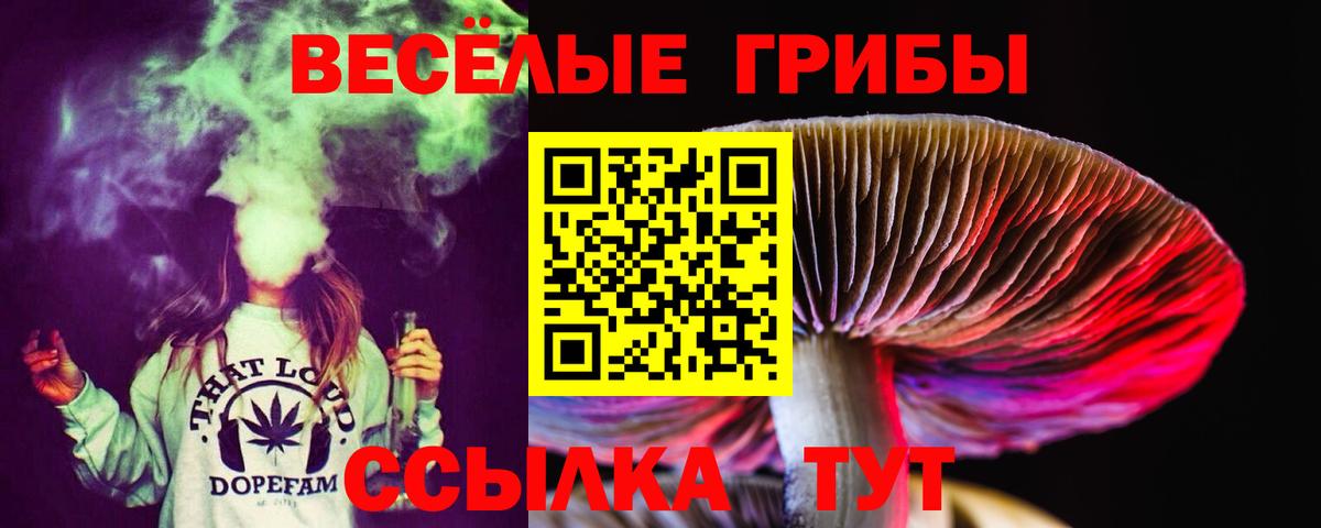 Псилоцибиновые грибы мицелий  Вход с VPN  Аша 
